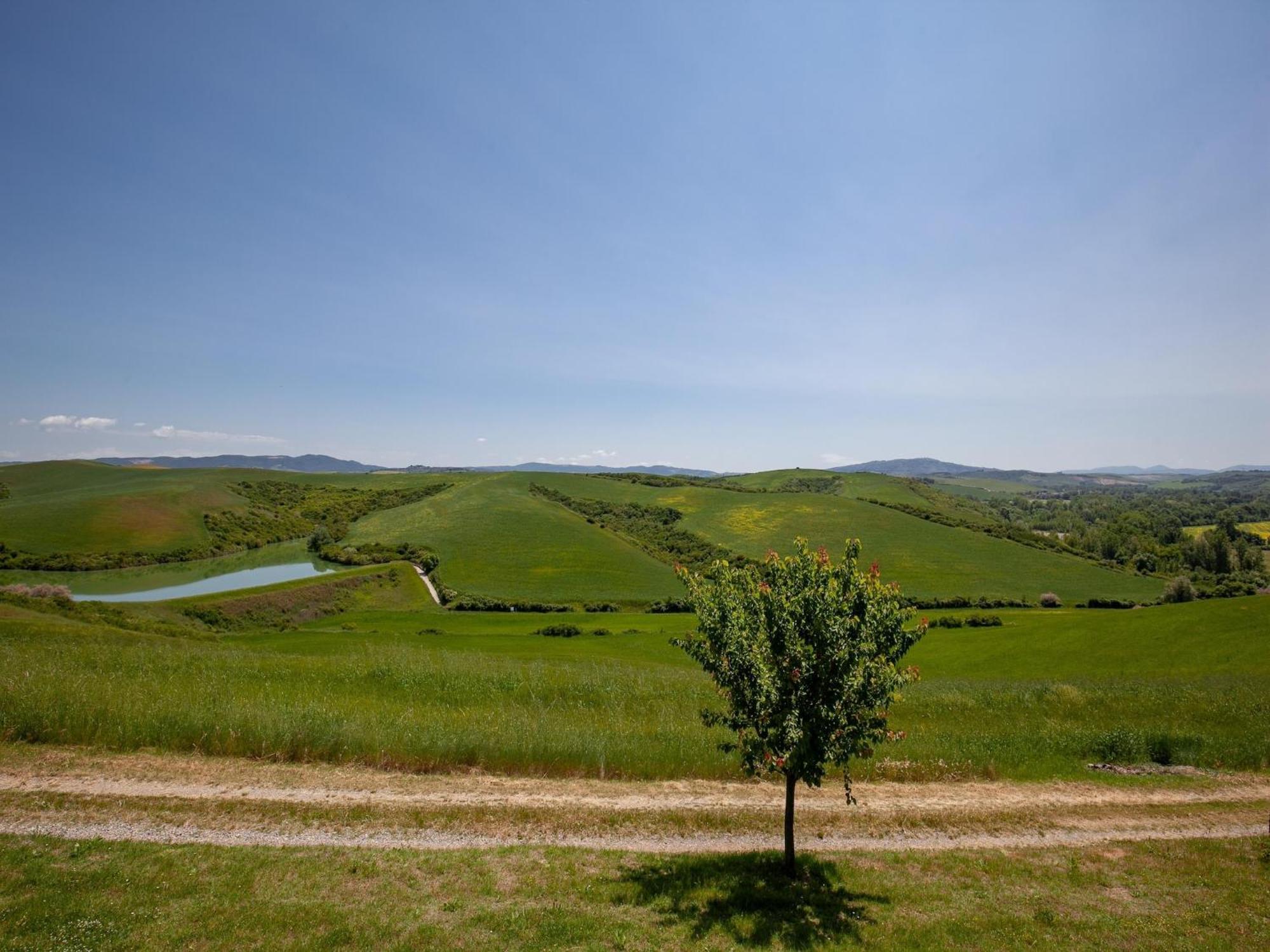 Flat With Swimming Pool Διαμέρισμα Peccioli Εξωτερικό φωτογραφία